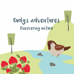Discovering nature