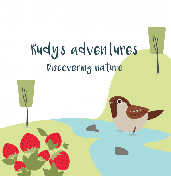 Discovering nature
